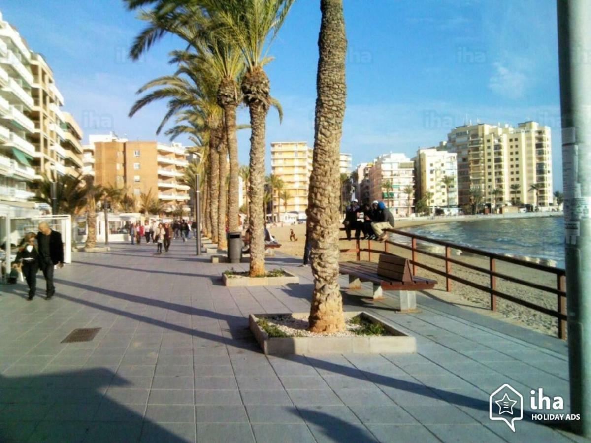 Апартаменти Downtown With Wifi & Tv Box Торрев'єха Екстер'єр фото